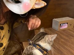 -echoes coffee回响咖啡(888街店)