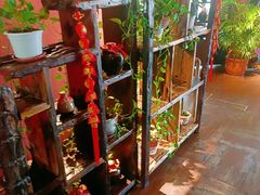 -大匠工房古船木艺术餐厅·猪肚鸡专门店(长白仙岛店)