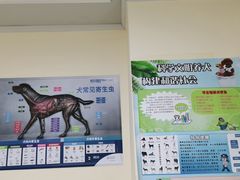 -谐和贝康宠物医院24小时·宠保定点(急重症转诊中心)