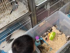 -宠爱我(南山店)