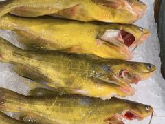 -千滋百味自助海鲜烤肉(布吉景华店)