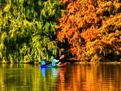 -上海海湾国家森林公园