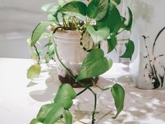 -如轩·海鲜砂锅粥·潮汕菜(南城店)