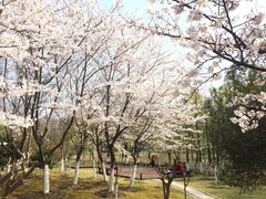 -江南大学(蠡湖校区)