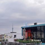 天台咖啡|文创醒狮潮玩集一身的咖啡店