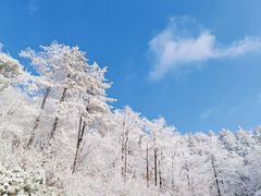 -四明山国家森林公园
