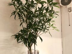 -粉吖吖·邵阳米粉(体育西路店)