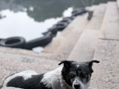 -乌镇东栅景区