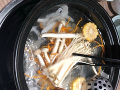 -探窝·竹笙椰子鸡(杨箕店)