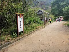 -羚羊峡古栈道森林公园