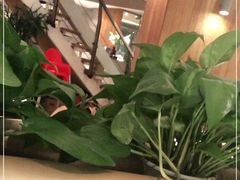 -衡山汇·高级粤菜(霄云路店)