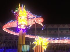 -锦江乐园舞狸花花游园会(夜场专享)