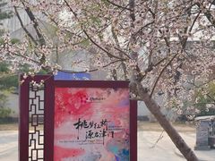 -桃花堤公园