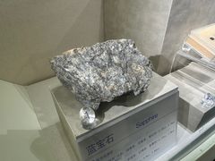 -安徽省地质博物馆