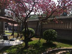 -卫鼎轩·曹公馆(鼓楼店)