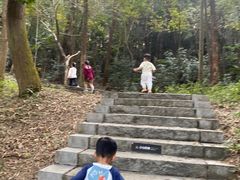 -三水森林公园