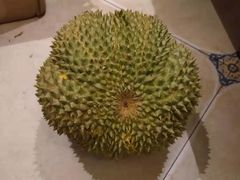 -三亚新鸿港水果一级批发市场