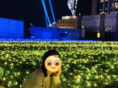 -影汇之星8字形摩天轮