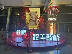 -合肥新桥国际机场-航站楼