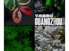 -中国科学院华南植物园