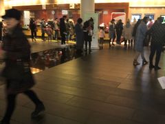 -合肥大剧院