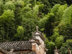 -杨家堂村