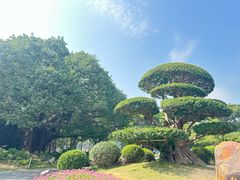 -南宁南湖公园