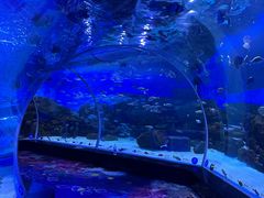 -顺德南宏海立方海洋公园