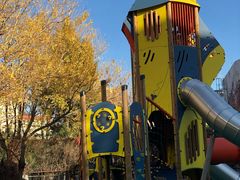 -卓悦童国际幼儿园