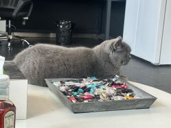 -飛凡TATTOO纹身•原创