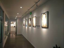 -様共享美容连锁机构