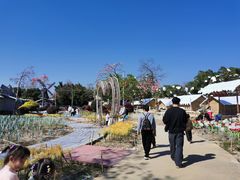 -广东花都香草世界旅游度假区