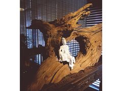 -足本纪·足道 SPA 简餐 小吃(文三西路店)