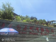 -青藏高原野生动物园