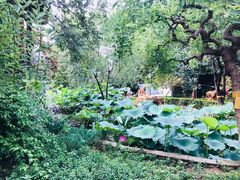 -静之湖湖畔餐厅