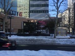 -北海道厅旧本厅舍(旧本庁舎)