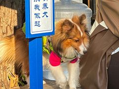 -小意思咖啡店(草桥店)