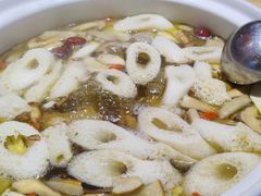 -鲜菌江湖正宗野生菌火锅