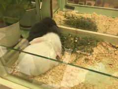 -龙猫仔乐园(惠福东路店)