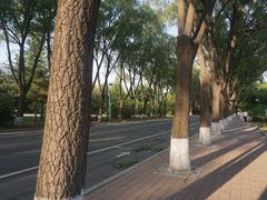 -吉林大学(前卫南区)