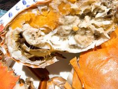 -北塘海鲜·天津菜·鲅鱼水饺是一绝(大光明桥旗舰店)