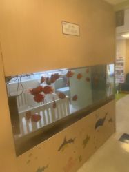 点击看大图 -杭州贝瑞斯美华妇儿医院·早孕·产检·儿科