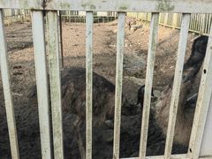 -桤木河湿地公园