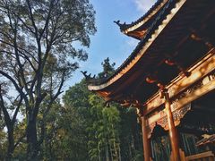 -灵岩山风景区