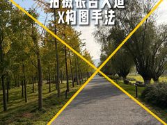 -汉长安城未央宫国家考古遗址公园