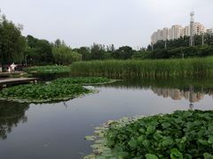 -前关湿地公园