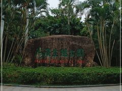 -福田红树林生态公园