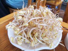 -一斗火锅·招财羊毛肚(北温泉九号店)