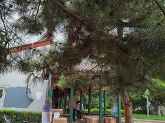 -中粮丰通（北京)食品有限公司