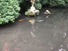 -中国移动(金高路营业厅)